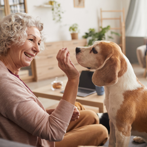 old lady with a dog