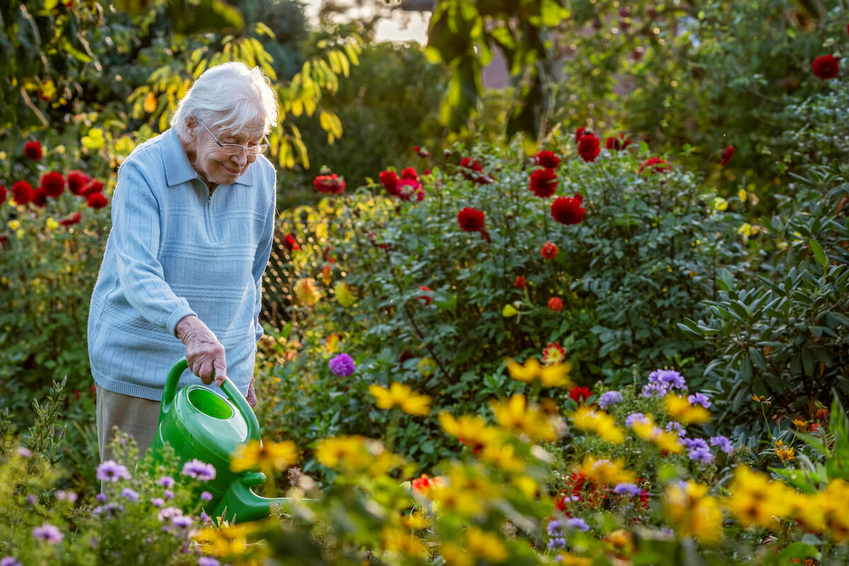 Older woman watering plants